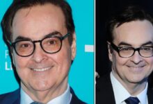 Steve Higgins