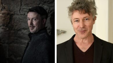 aidan gillen