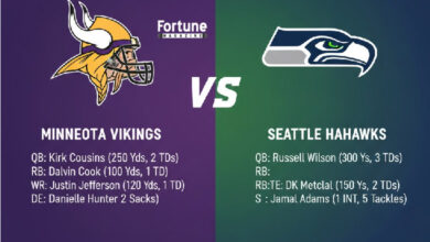 Minnesota Vikings vs Seahawks Match Player Stats