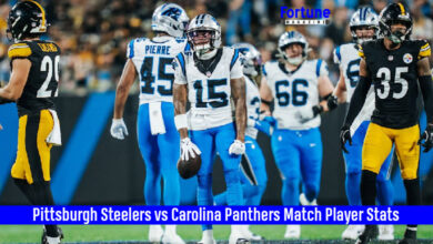 Pittsburgh Steelers vs Carolina Panthers Match Player Stats