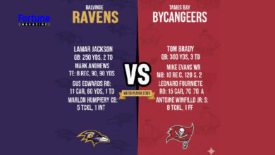 baltimore ravens vs tampa bay buccaneers match player stats