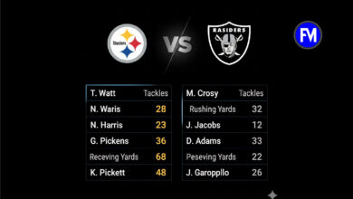 steelers vs las vegas raiders match player stats