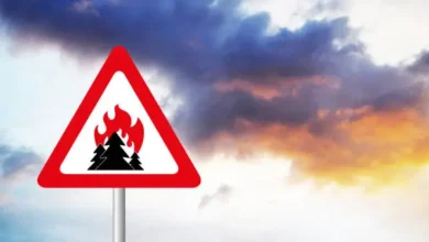 Living on the Edge: How to Stay Safe in Wildfire Zones