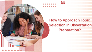 Dissertation Preparation