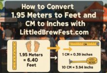 1.95 Meters to Feet