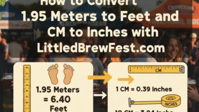 1.95 Meters to Feet