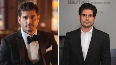 andrew levitas net worth
